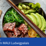 Aloha im April: Stammtisch im MAUI Ludwigpalais